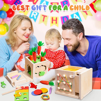 8-in-1 Montessori Permanence Box Karotten-Spielzeug